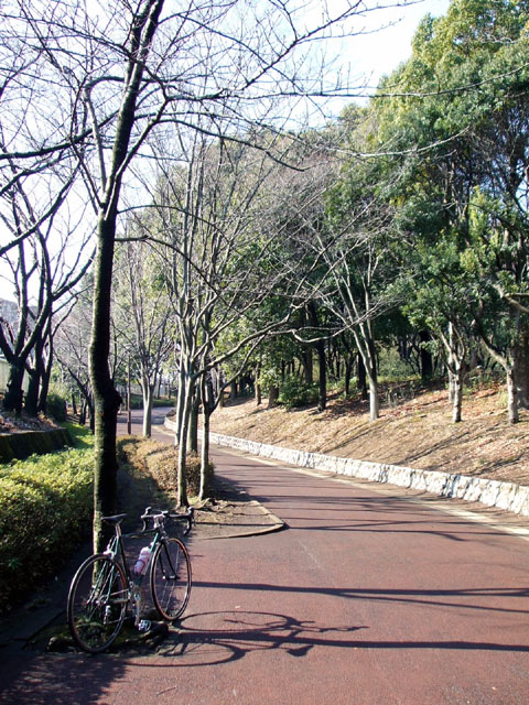 e0034994_1551894.jpg