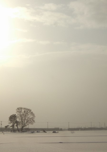 c0118496_20135085.jpg