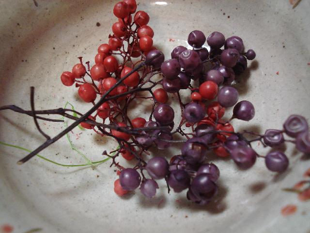 f0084806_7541424.jpg