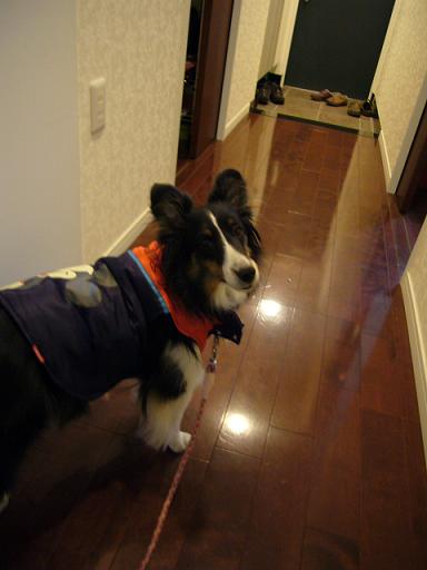 e0130008_20372942.jpg