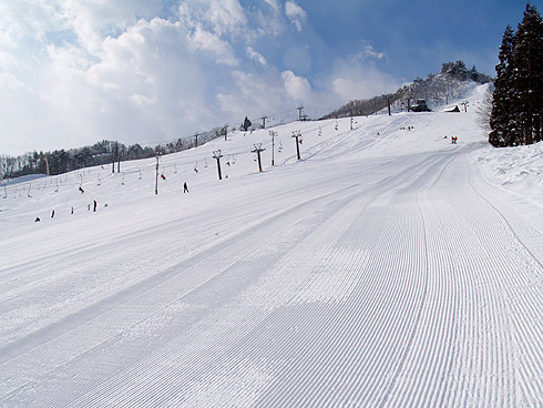 e0067218_8493397.jpg