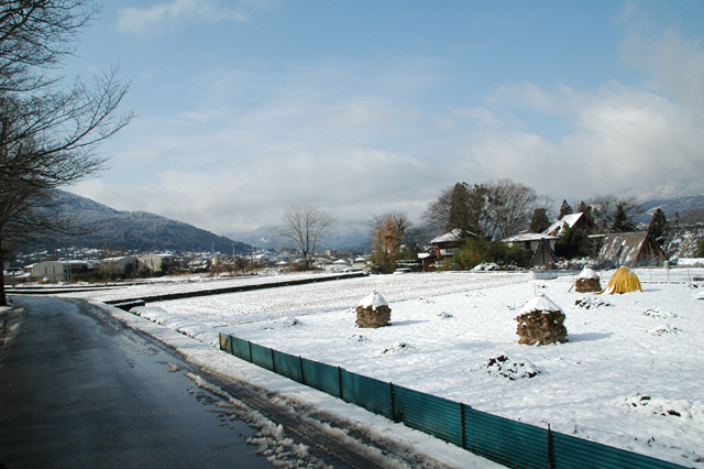 f0012718_232298.jpg