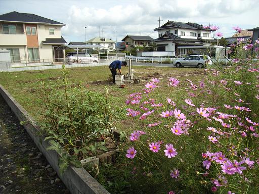 Nさんのいえ 地縄張り+地盤調査 2007/10/3~4_a0039934_14341385.jpg