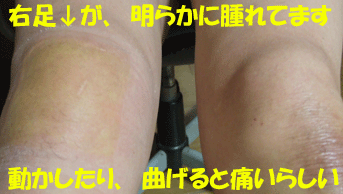 f0008935_1158175.gif