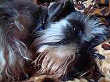 c0153740_341458.jpg