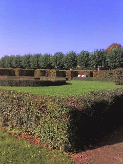 c0153740_411512.jpg