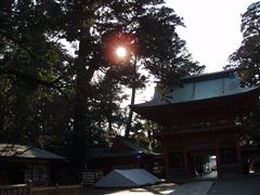 旧正月_d0082655_18452611.jpg