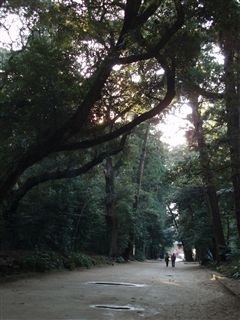 旧正月_d0082655_1846546.jpg
