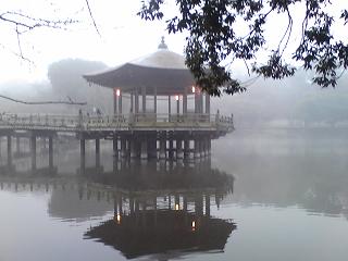 b0039965_94495.jpg