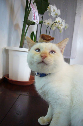 I wanna go to bed._c0153966_2259332.jpg