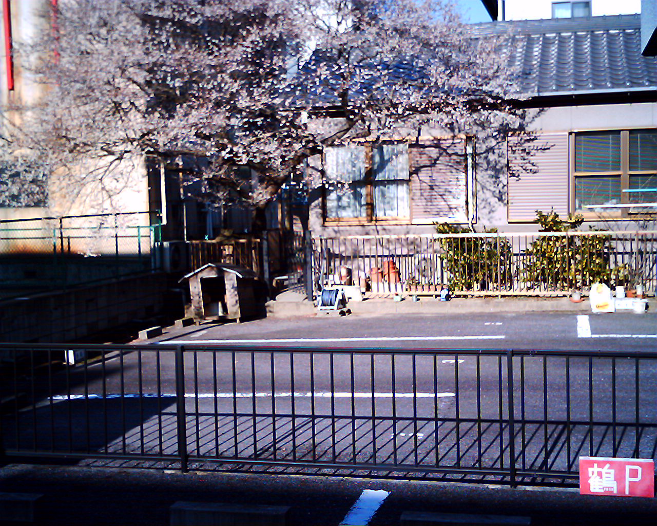 f0063370_142157100.jpg