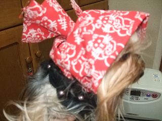 e0120072_19421665.jpg