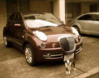 e0113473_0442124.gif