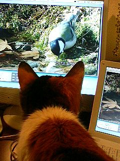 ちびそっくり_f0054677_8534076.jpg