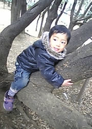 f0084478_82522.jpg