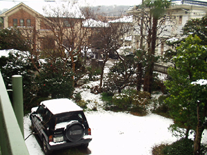 田中圭 凍える鏡 DVD 新品】映画 凍える鏡+フライヤー 田中圭