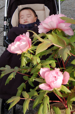 c0047589_23495258.jpg