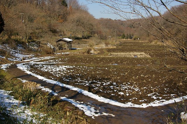 e0070891_18415229.jpg