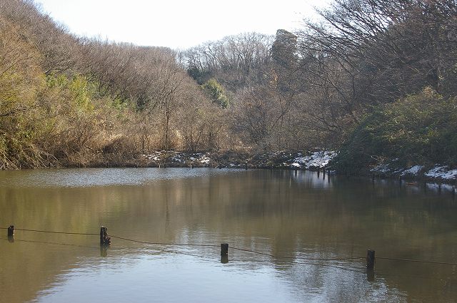 e0070891_1848291.jpg