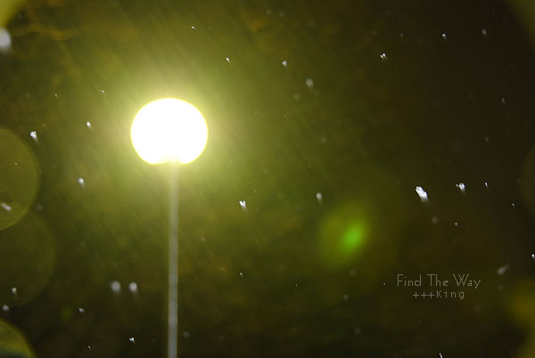 lost 〜second season_f0054594_55035.jpg