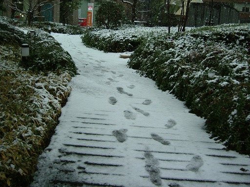 e0062207_2024555.jpg