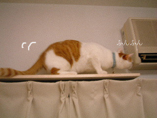 c0006312_14142651.jpg