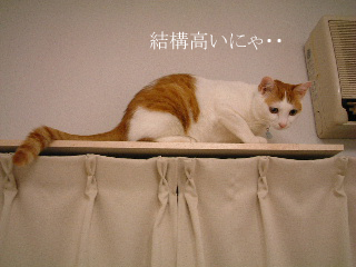 c0006312_1414383.jpg
