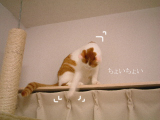 c0006312_1414760.jpg