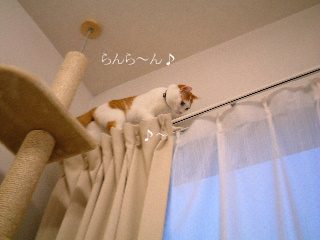 c0006312_1462222.jpg