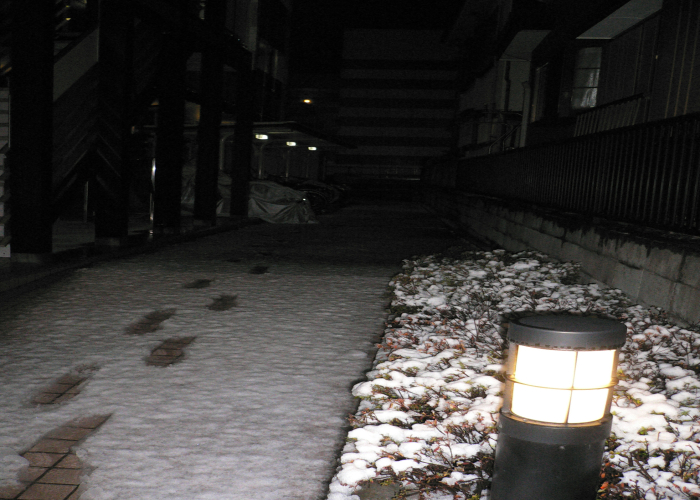 f0125914_23341769.jpg