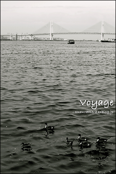 航海_f0100215_2281220.jpg