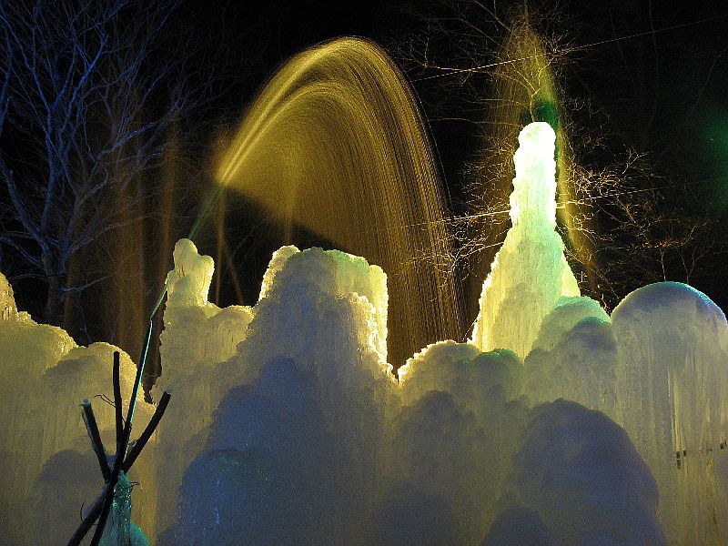 今年も氷点下の森へ・・・（３）_c0036317_5433272.jpg