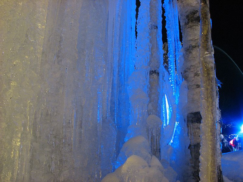 今年も氷点下の森へ・・・（３）_c0036317_5435533.jpg