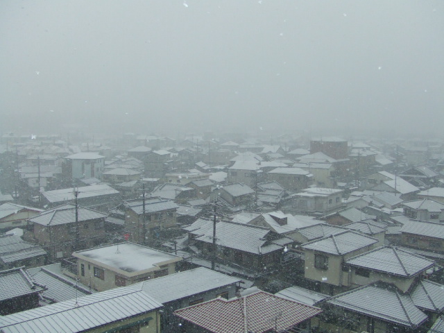 雪！２００８年２月９日土曜日_f0090117_11345215.jpg