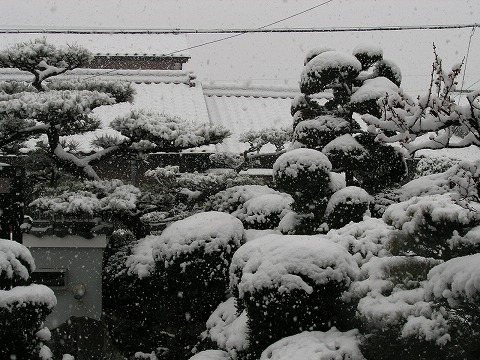 大雪_c0077531_22145954.jpg