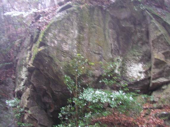 c0029332_2110519.jpg