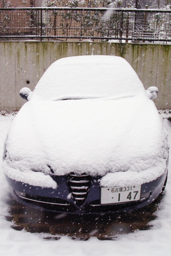 雪！！　しかも大雪！！！_f0049142_16153835.jpg