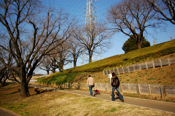 a0082146_1192319.jpg