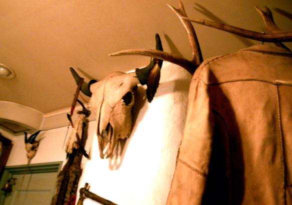 a0082146_1272210.jpg