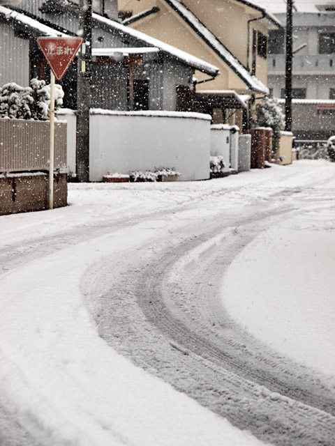 f0087348_16335160.jpg