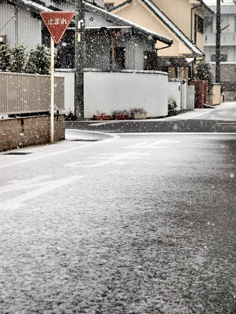 f0087348_1633865.jpg