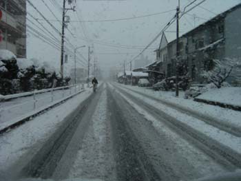 名古屋も雪化粧です_c0074553_20265371.jpg