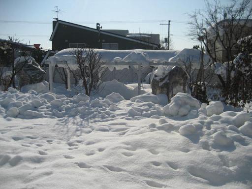 a0075455_721114.jpg