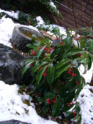 e0015270_08420.jpg