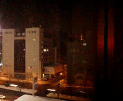 雪まつりに来たロン！_a0087471_2317846.jpg