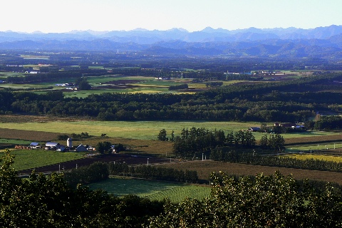 b0068572_1184818.jpg
