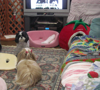 e0050801_9352847.gif