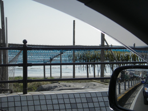 f0034602_2140261.jpg