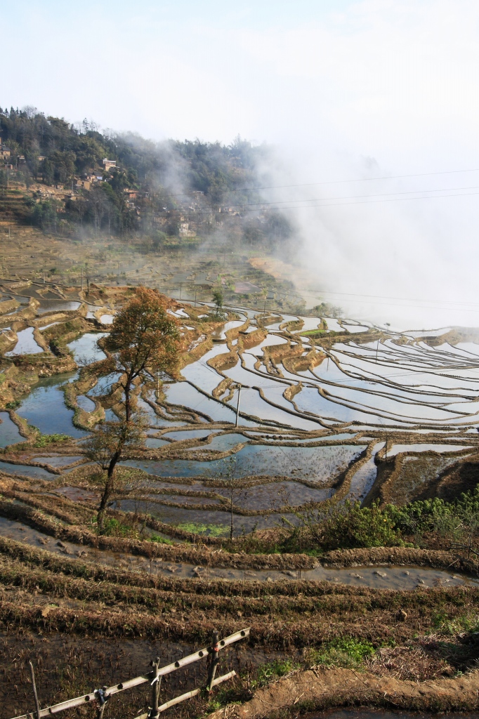 目的の風景_d0116616_21203785.jpg