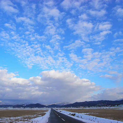 c0067040_15421336.jpg